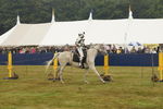 JOUSTING, PHOTOS BY BEN, 5917 35