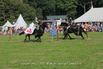 JOUSTING, 20170828, PHIL, 2Y3A9564 324